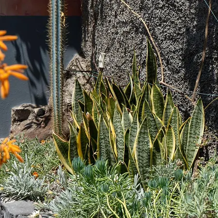 Charming Garden Oasis By Lovelystay Hébergement de vacances