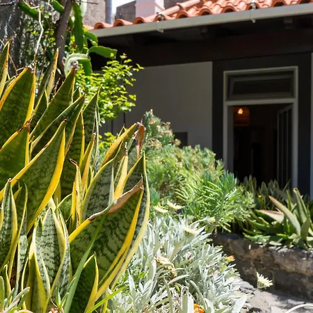 Charming Garden Oasis By Lovelystay Funchal (Madeira)